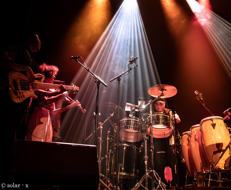 All that Jazz se mue et devient All My Jazz